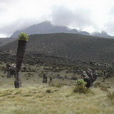 Kilimanjaro - Day 2
